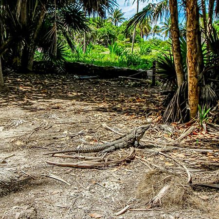 Aldea Zama Hotel Tulum Eksteriør billede